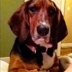 Meet your Posher, Connie